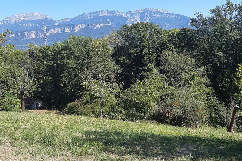 vue du Balcon des Alpes, un nouveau programme avec des terrains &agrave; b&acirc;tir &agrave; Moirans (38)