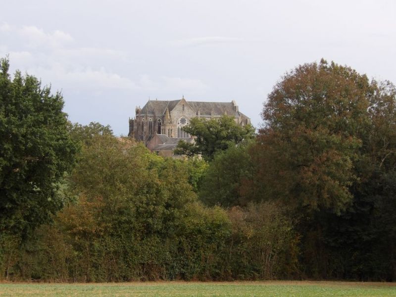 environnement de la commune La Chapelle-Saint-Laurent, dans les Deux-S&egrave;vres (79)