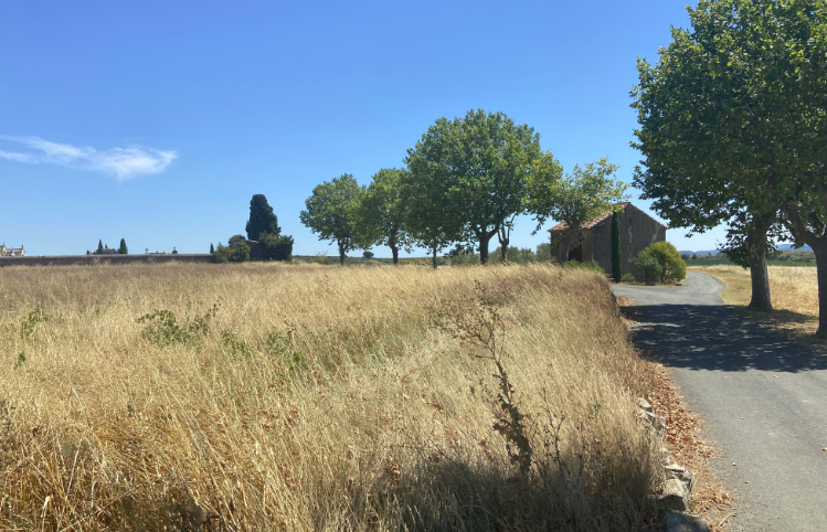 environnement du programme « Le Clos Floréal » - Sainte-Valière (11)