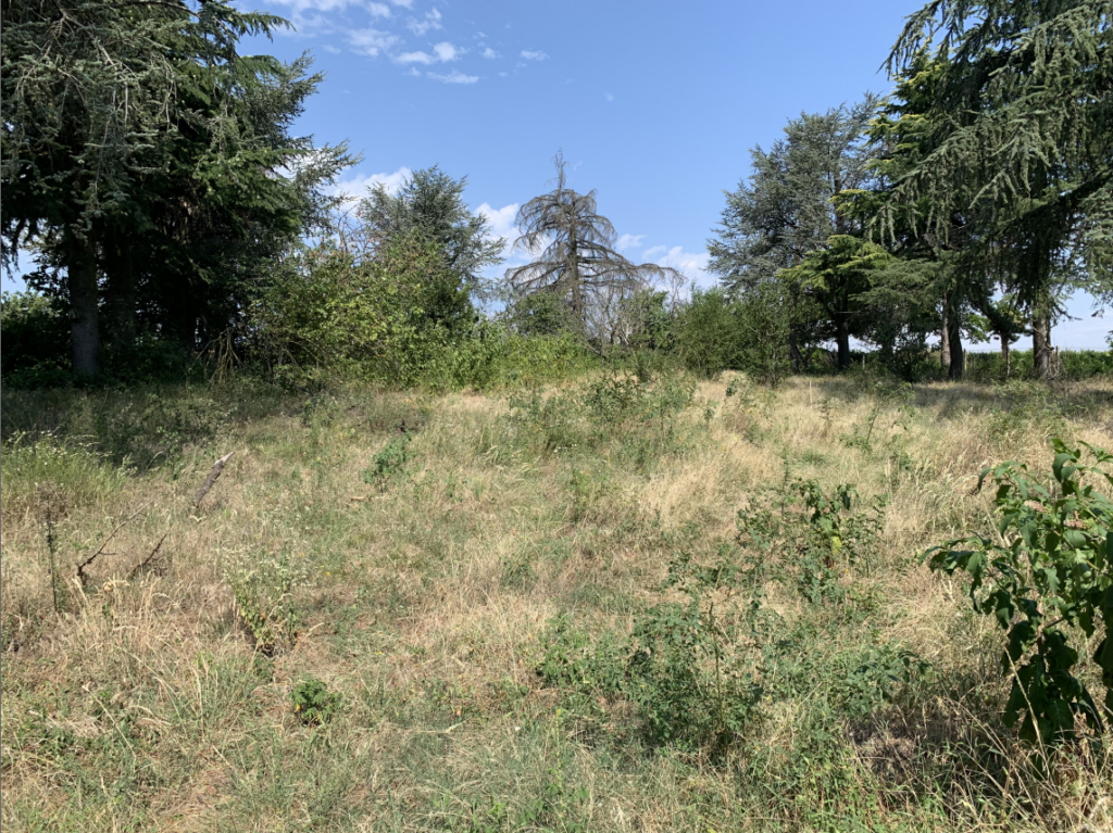 environnement du projet « Le Domaine de Surel », à Saint-Marcel-lès-Valence (26)