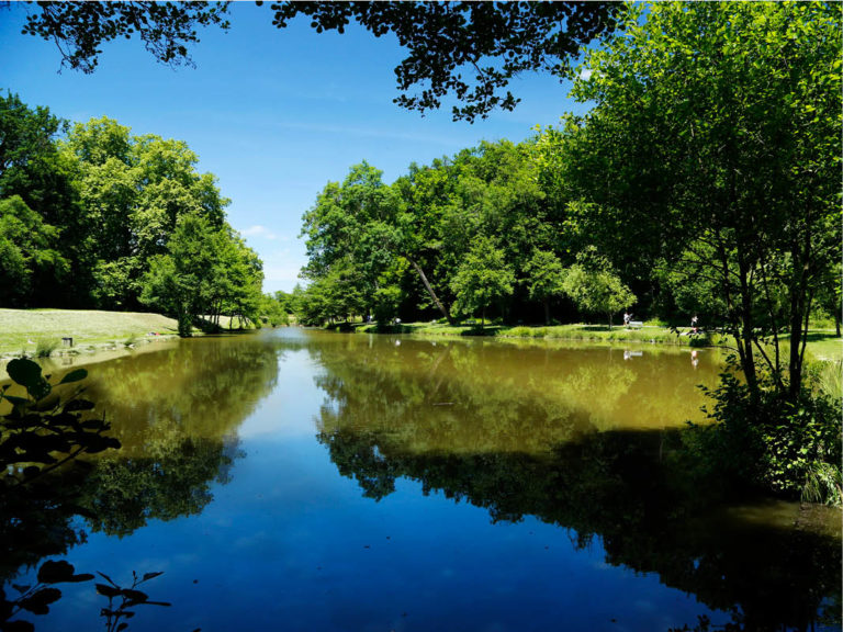 environnement de la commune d'Artigues-près-Bordeaux, en Gironde (33)