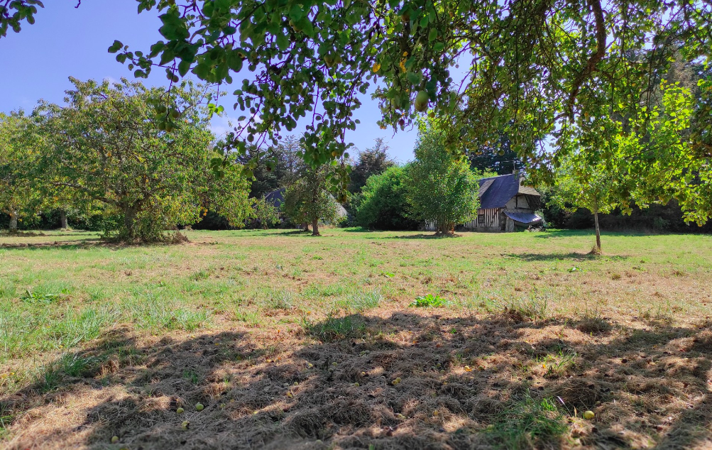 vue sur les nouveaux terrains à vendre à Villers-sur-Mer (14)