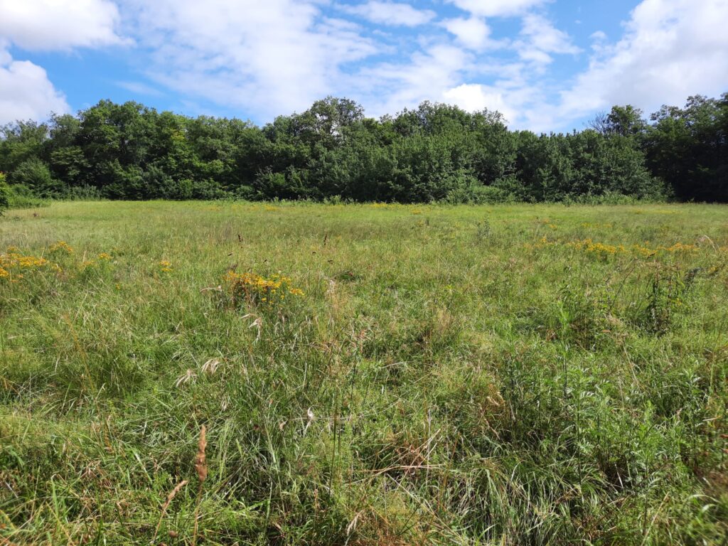 environnement du Lotissement « Les Combottes », à Audincourt dans le Doubs (25)