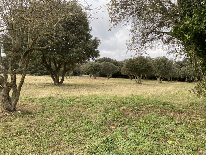 vue sur le cadre du futur lotissement "Les Galets", à Orange (84)