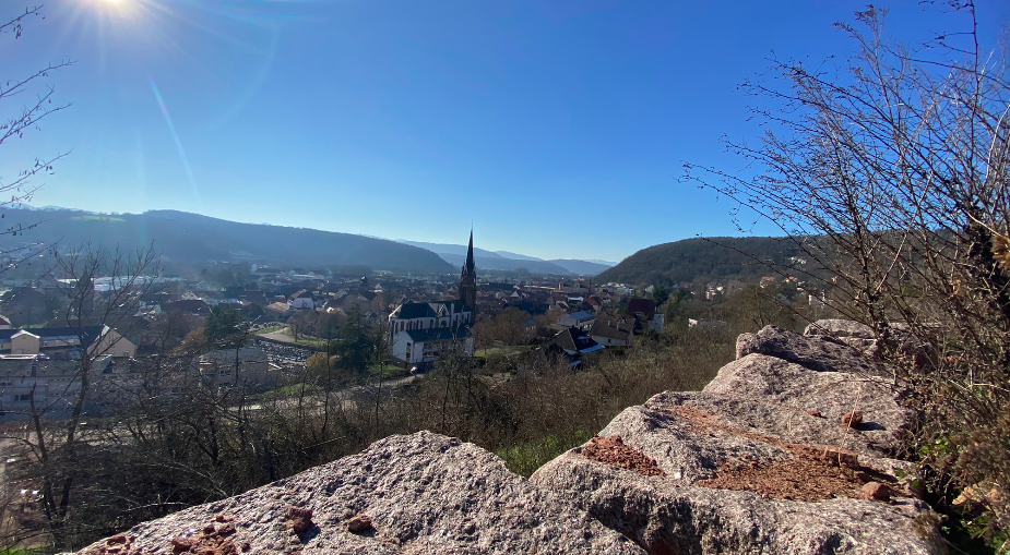 environnement du lotissement « Terre d’Horizon », à Mutzig dans le Bas-Rhin (67)