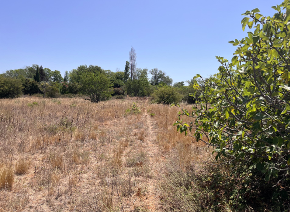 vue sur le futur lotissement « Le Pré de Cypriane », à Fos-sur-Mer (13)