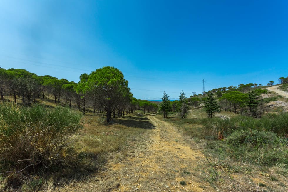 environnement naturel de Narbonne, dans l'Aude (11)
