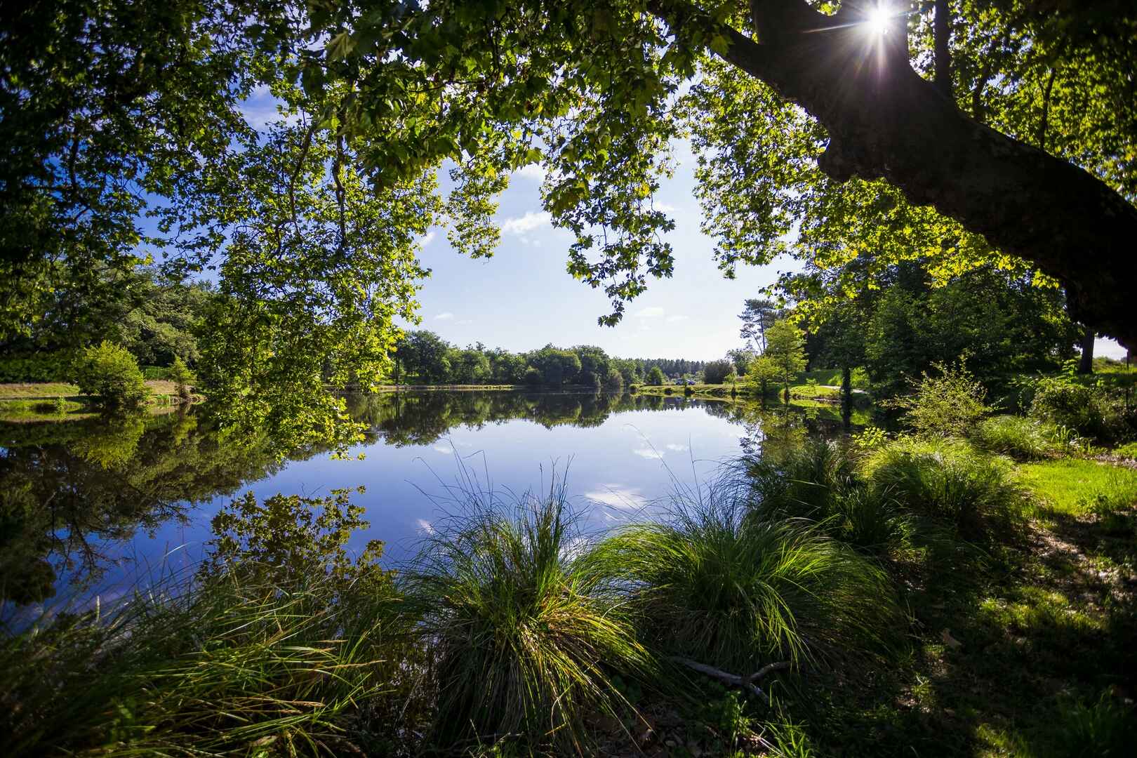 Image du post Ychoux (40) : de nouveaux terrains à vendre, à 140 euros le m2 !