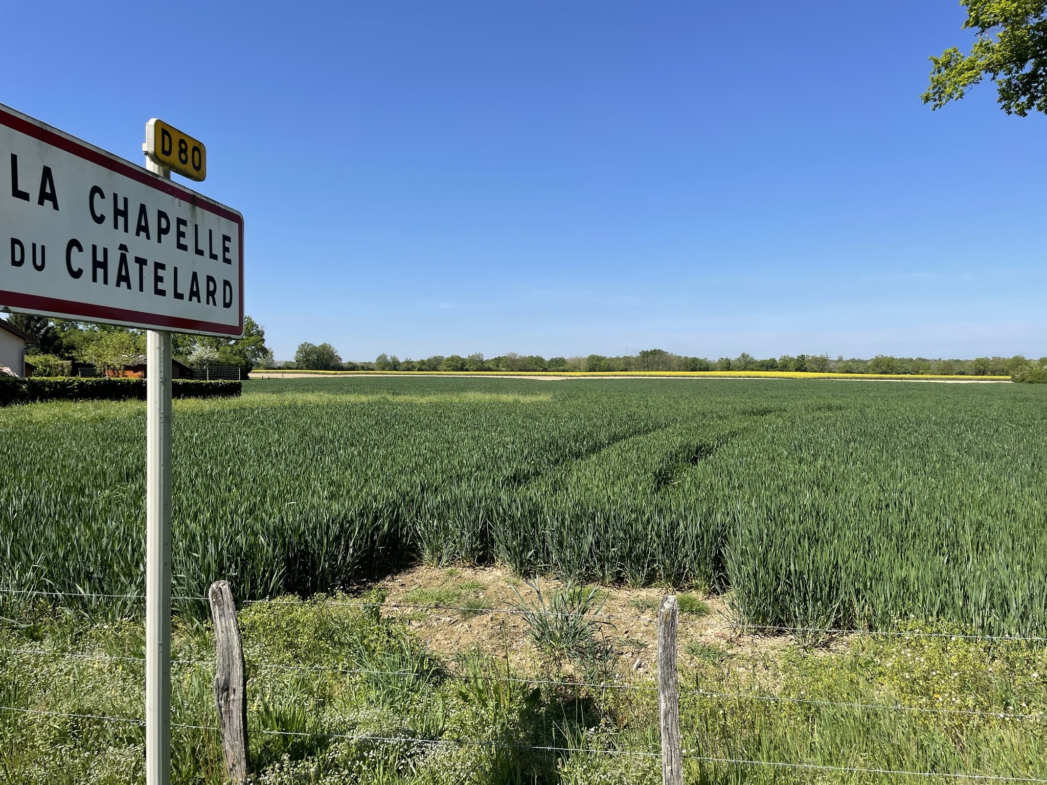 environnement du futur lotissement de La Chapelle-du-Ch&acirc;telard, dans l'Ain (01)