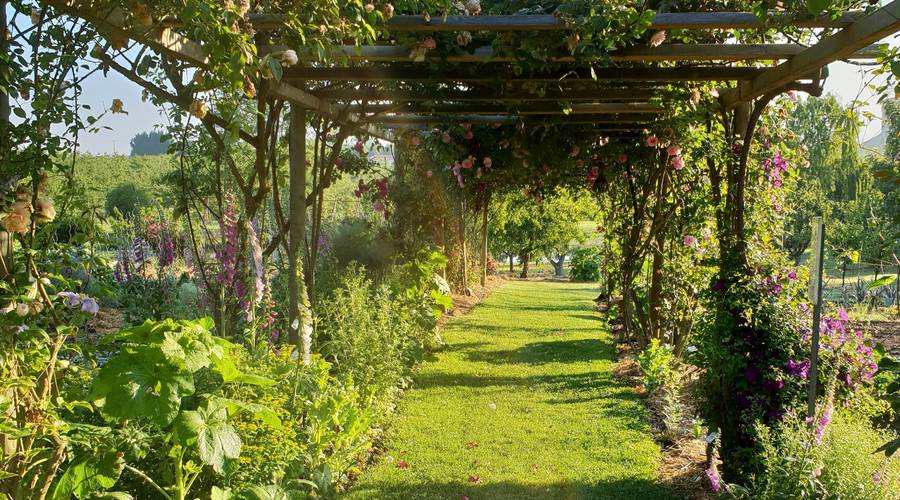 vue sur les Jardins de Coursiana, à La Romieu (32)
