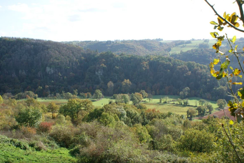 environnement naturel sur la commune d'Olemps, dans l'Aveyron (12)