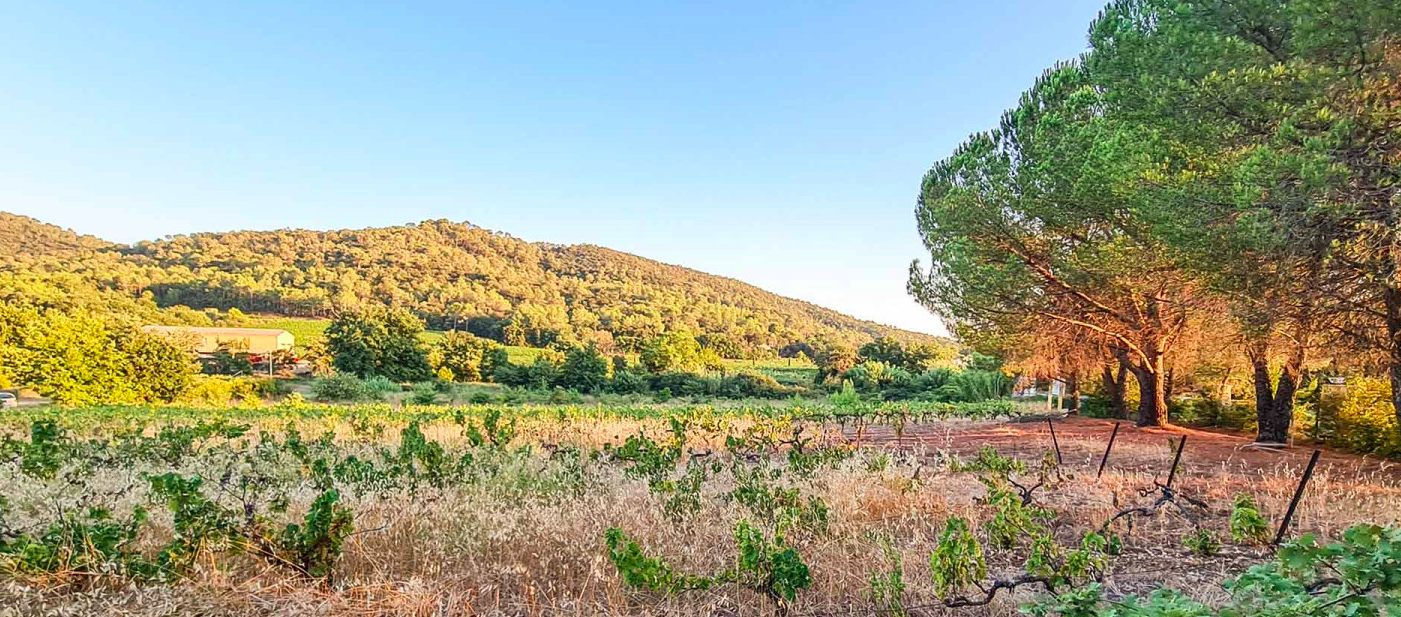 vue sur le lotissement Louijanne, à Pierrefeu-du-Var (83)