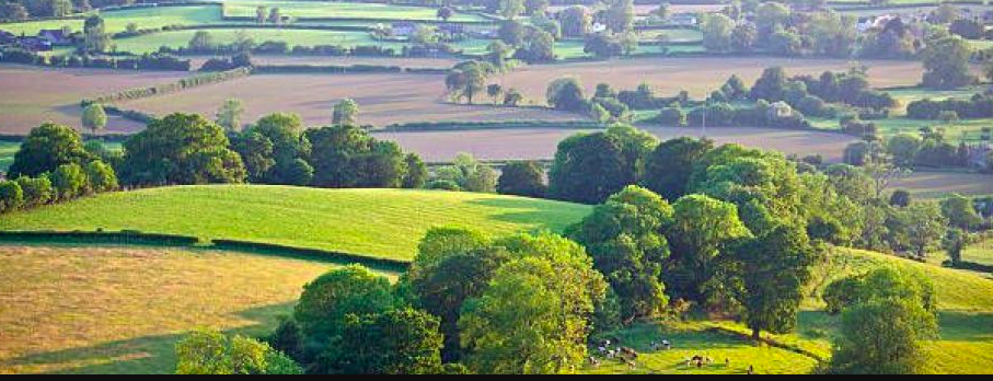 Image du post Rives d’Andaine (61) : plusieurs lotissements pour faire construire !