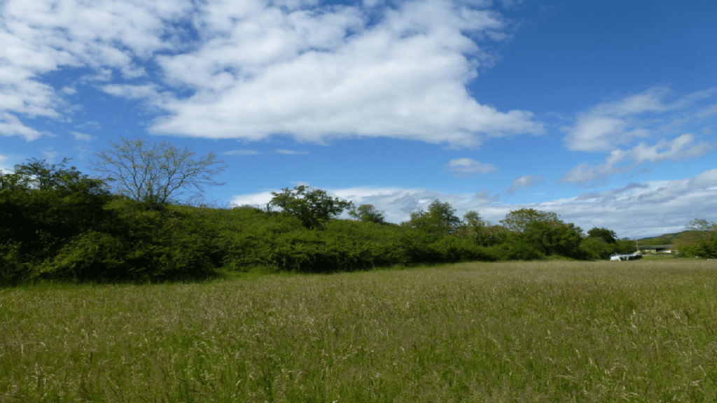 environnement du lotissement « Le Domaine des Mésanges », à Lagnieu (01)