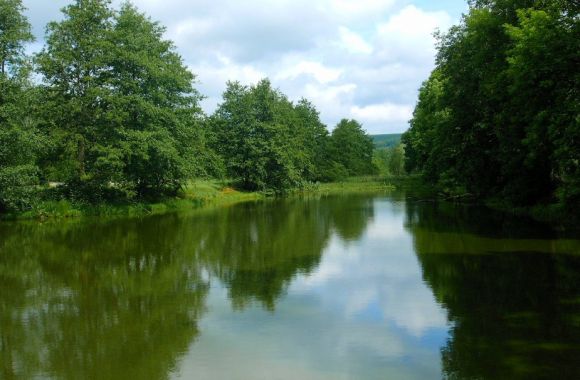 environnement de Vrigne aux Bois, dans les Ardennes (08)
