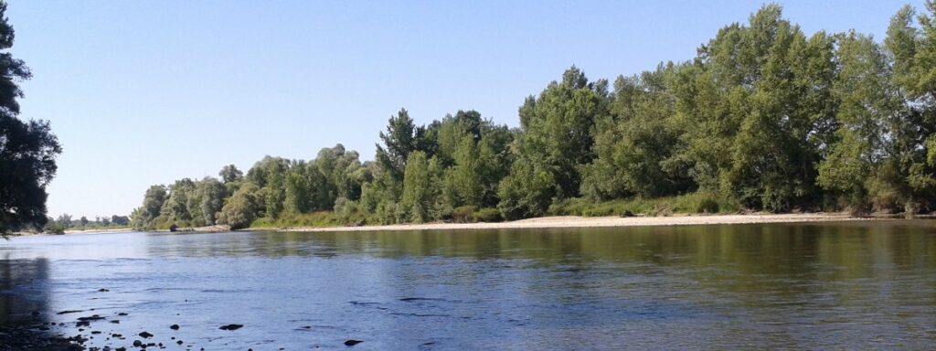 environnement naturel de la commune de Bessay-sur-Allier, dans l'Allier (03)