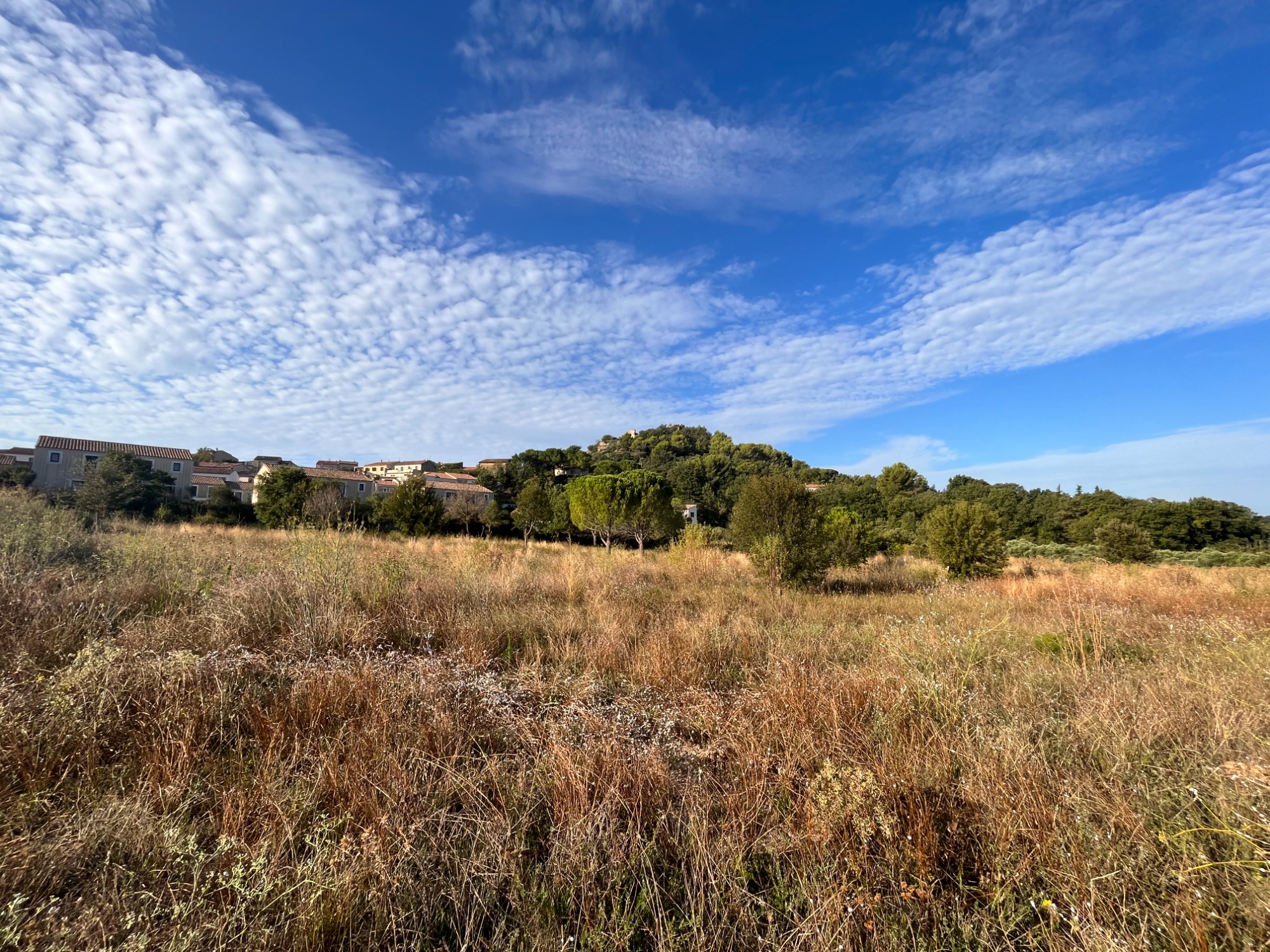 Image du post Lotissement Pierra Nova : encore quelques terrains à vendre à Rognes (13)