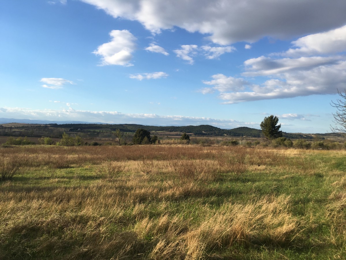 vue sur le lotissement Perucho, à Salles d’Aude (11)