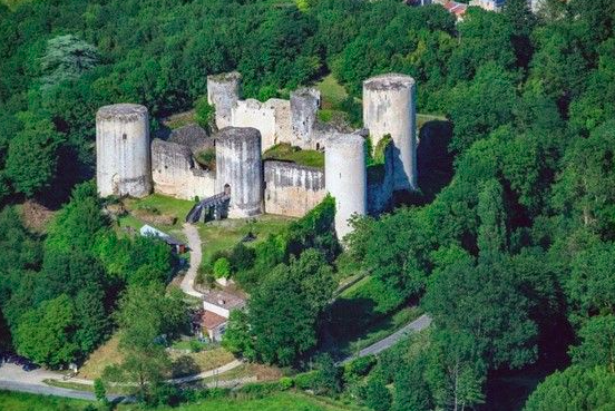 vue sur le Château Coudray-Salbart, à Échiré (79)