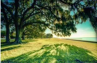 Image du menu Le Terrain