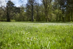 Viabiliser un terrain : comment faire et à quel coût ?