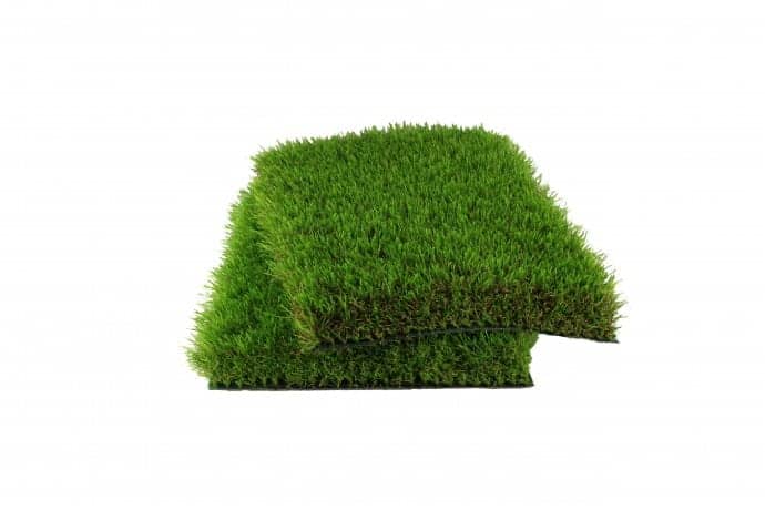 Gazon En Rouleau Prix Pose Entretien