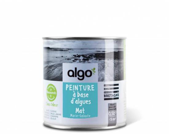Comment Choisir Sa Peinture Intérieure