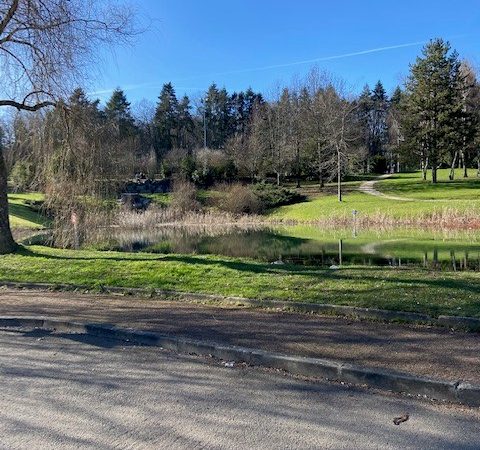 environnement du lotissement le Domaine des Vieux Chênes, à Isle (87)